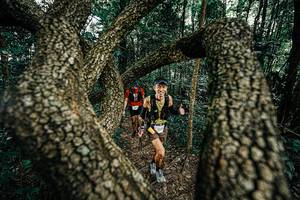 BIB: 
                            <button type="button" onclick="openModal(25392838)" class="btn btn-primary btn-sm float-right btn-popup" data-toggle="modal" data-target=".modal-high-quality">
                        <i class="fas fa-shopping-cart"></i> Add to Cart
                    </button>
                                            <button type="button" onclick="isThisMe(25392838, true)" class="btn btn-success btn-sm float-right btn-popup btn-isme hidden" data-toggle="tooltip" data-placement="bottom" title="นี่คือรูปของคุณใช่ไหม คลิกที่นี่เพื่อเอาเข้าอัลบั้ม">
                        <i class="fas fa-plus"></i> Add to album
                    </button>
                    <button type="button" onclick="isThisMe(25392838, false)" class="btn btn-warning btn-sm float-right btn-popup btn-isnotme hidden">
                        <i class="fas fa-ban"></i> Remove from album
                    </button>